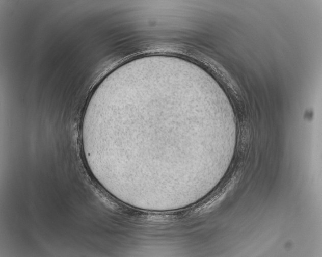 X0000116440985201001191528