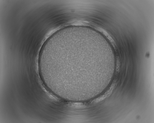 X0000116440986201001191528