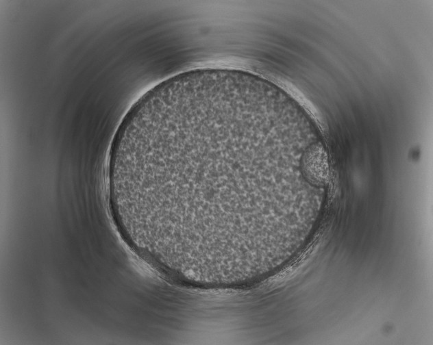 X0000116440988201001191528