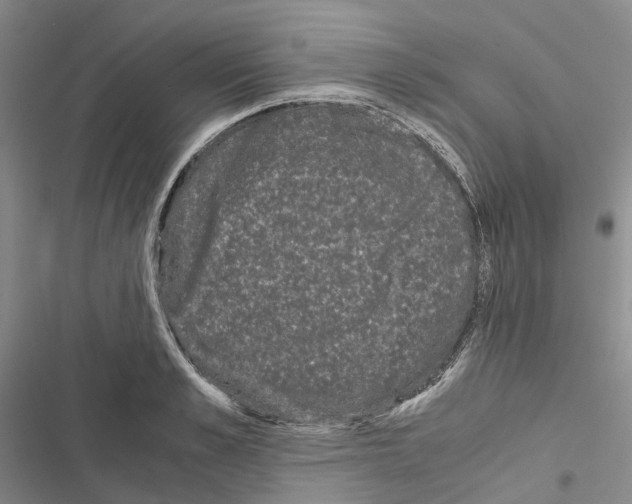 X0000116440989201001191528