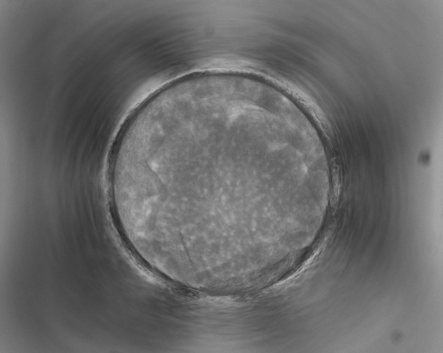 X0000116440990201001191528