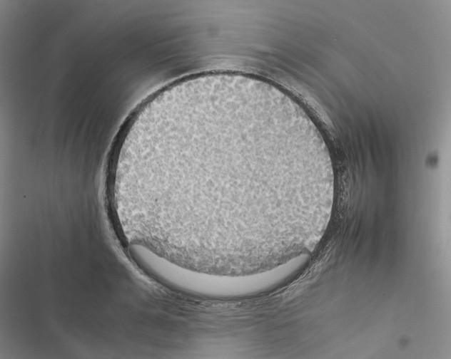 X0000116440991201001191528