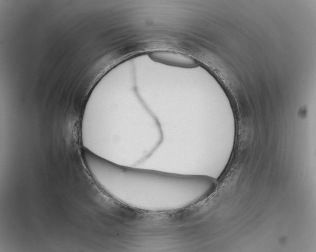 X0000116440993201001191528