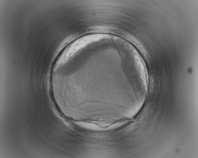 X0000116440994201001191528