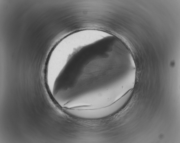 X0000116440995201001191528