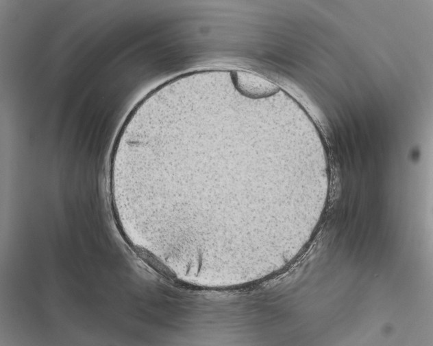 X0000116440996201001191528