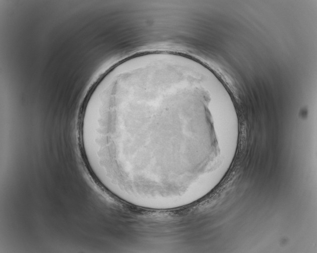 X0000116440998201001191528