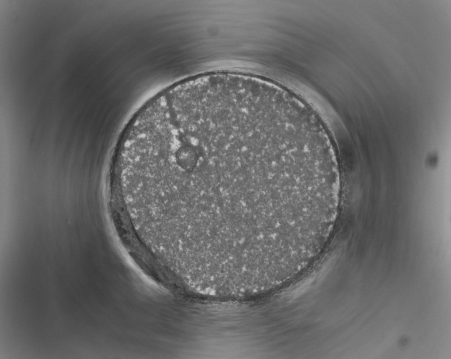 X0000116440999201001191528