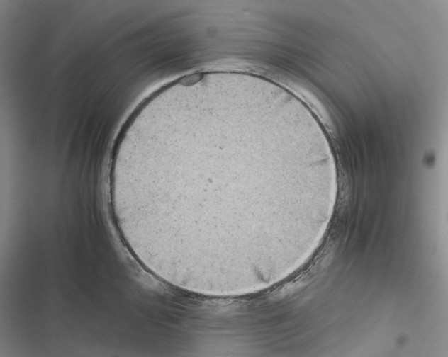 X0000116441000201001191528