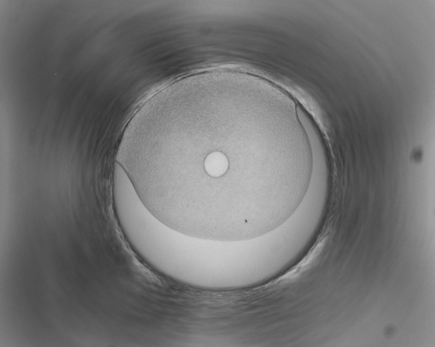 X0000116441001201001191528