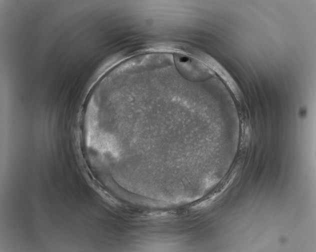 X0000116441002201001191528