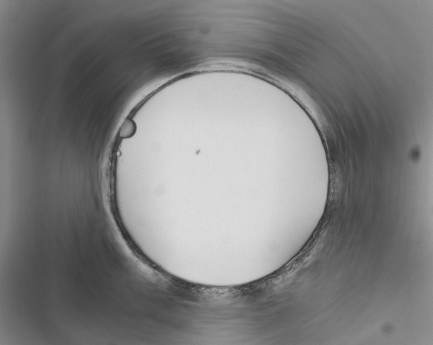 X0000116441003201001191528