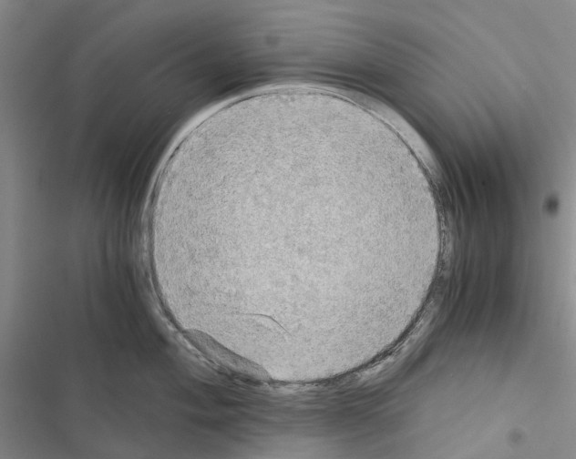 X0000116441004201001191528