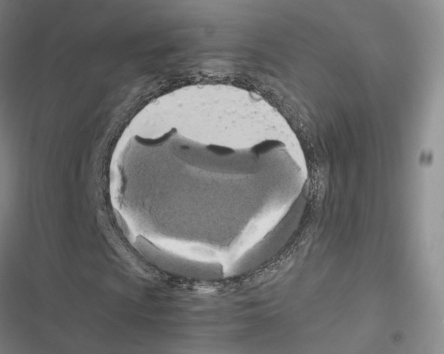 X0000116441009201001191527