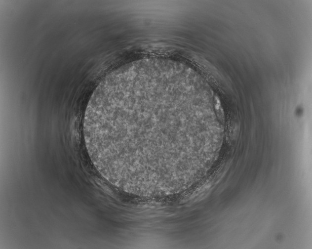 X0000116441010201001191527