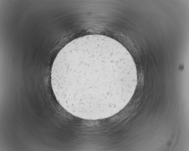 X0000116441012201001191527