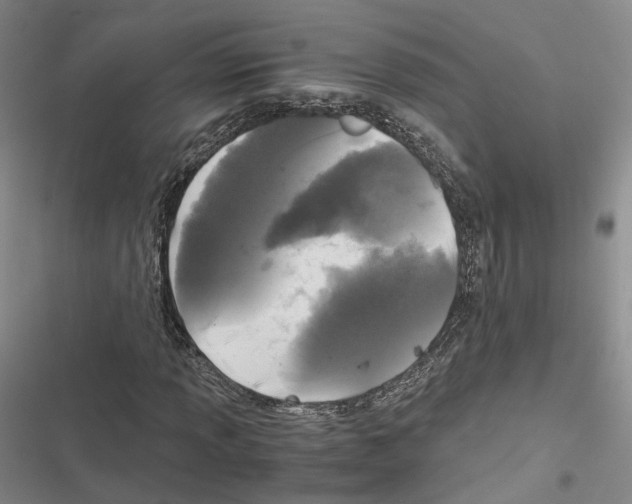 X0000116441013201001191527