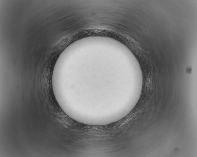 X0000116441014201001191527