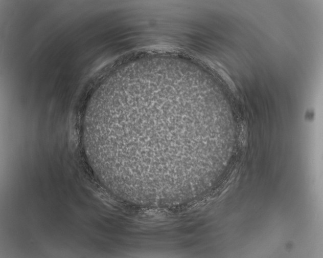 X0000116441015201001191527