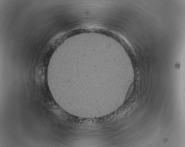 X0000116441016201001191527