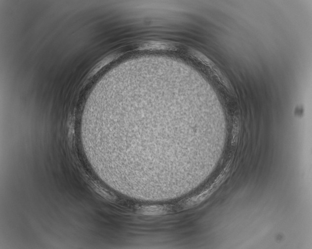 X0000116441017201001191527