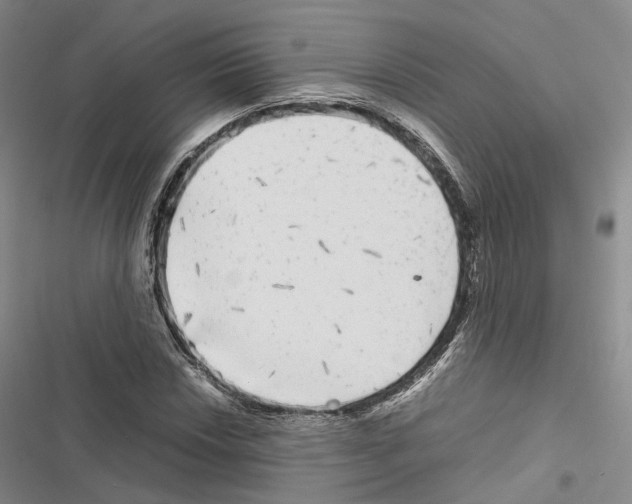 X0000116441018201001191527