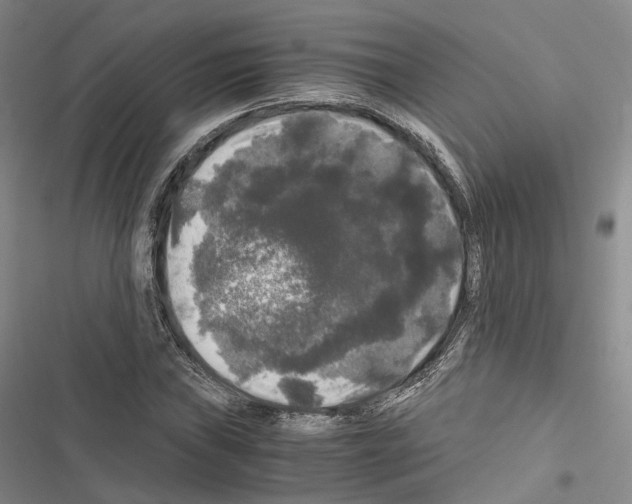 X0000116441019201001191527