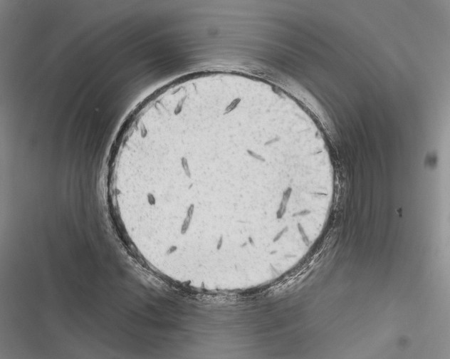 X0000116441020201001191527