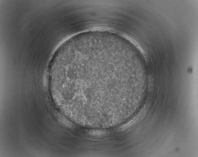 X0000116441021201001191527