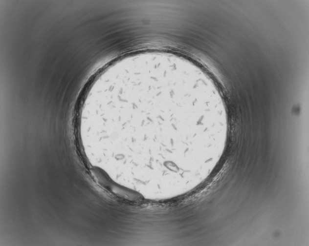 X0000116441026201001191527