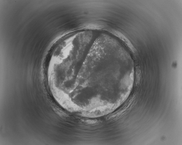 X0000116441027201001191527