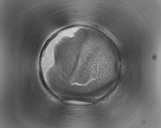 X0000116441028201001191527