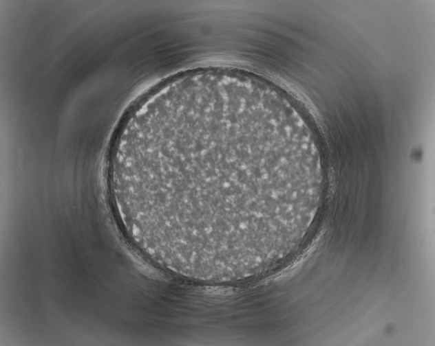 X0000116441029201001191527