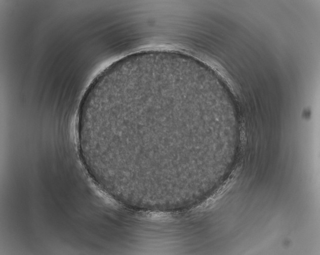 X0000116441030201001191527