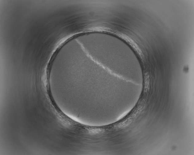 X0000116441031201001191527