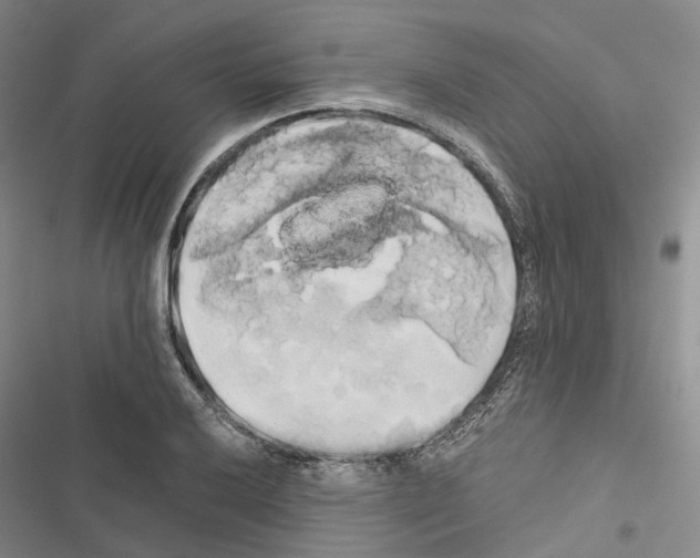 X0000116441032201001191527