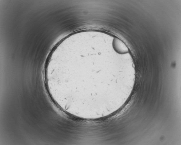 X0000116441034201001191527