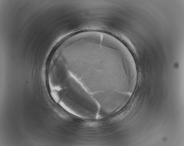 X0000116441035201001191527