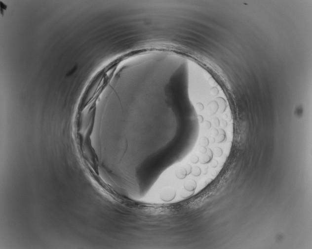 X0000116441037201001191527