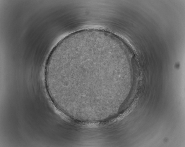 X0000116441038201001191527