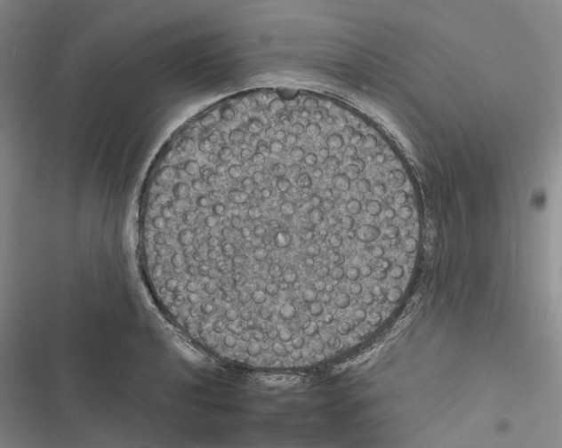 X0000116441040201001191527