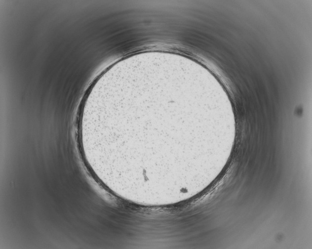 X0000116441042201001191527