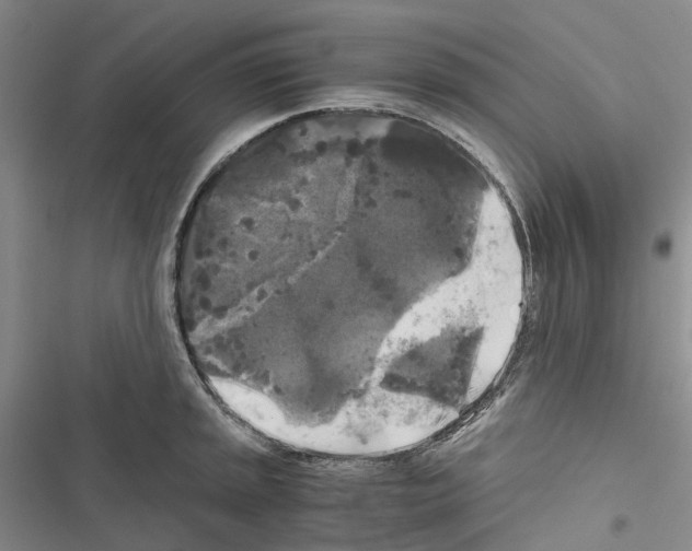 X0000116441045201001191528