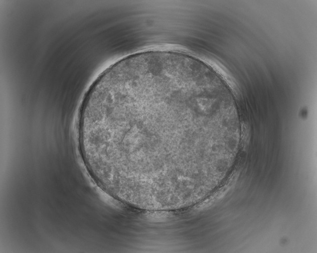 X0000116441046201001191528