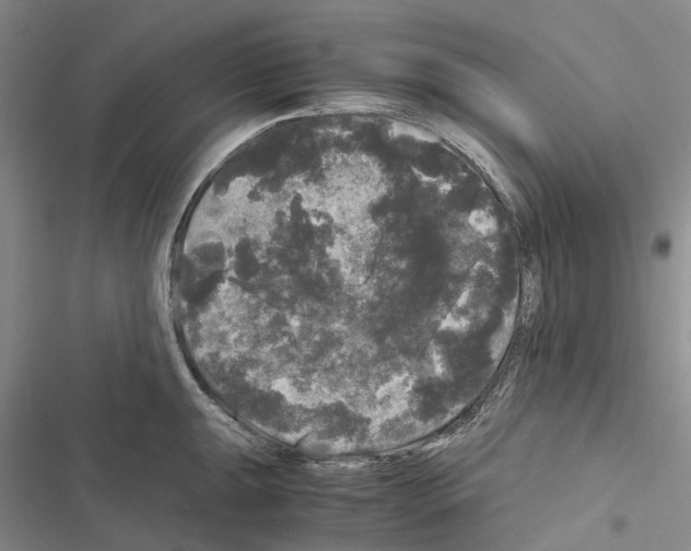 X0000116441047201001191528