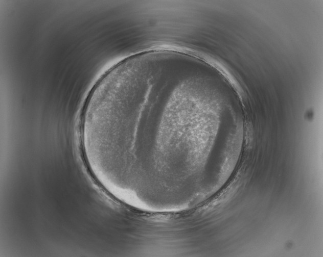 X0000116441048201001191528