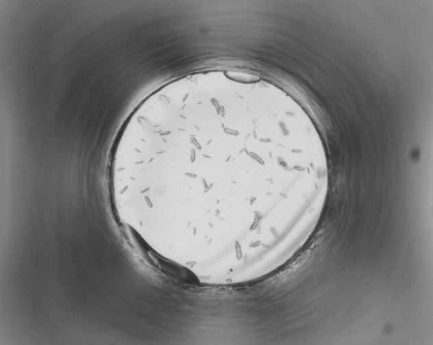 X0000116441050201001191528