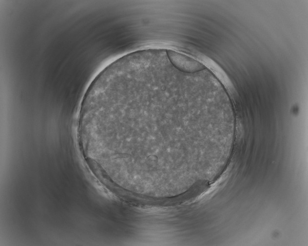 X0000116441052201001191528