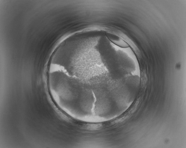 X0000116441055201001191528