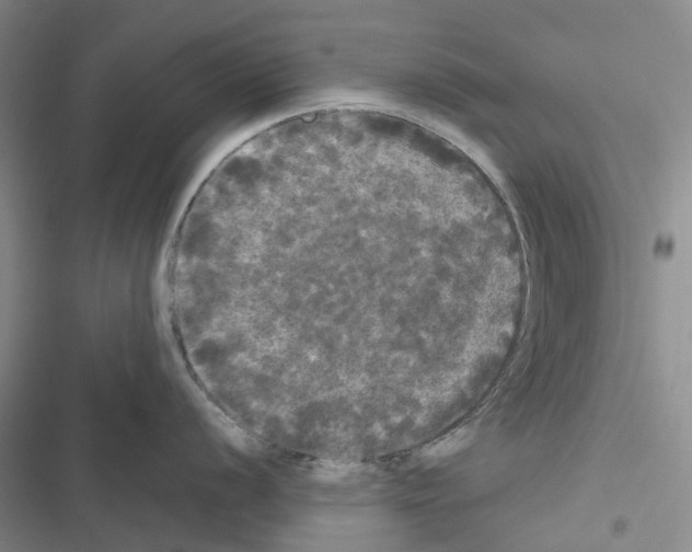 X0000116441056201001191528